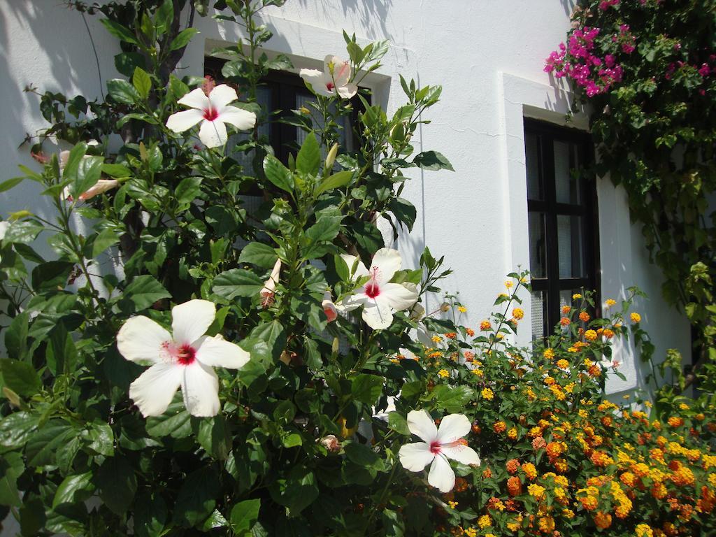 Mimosa Apart Hotel Gumbet Exterior photo